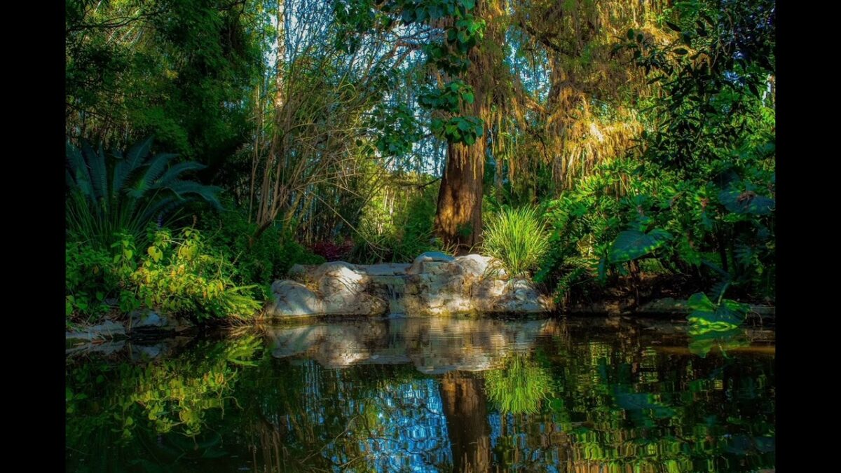 EVAN NAME MEANING ORIGIN POPULARITY visual data 2