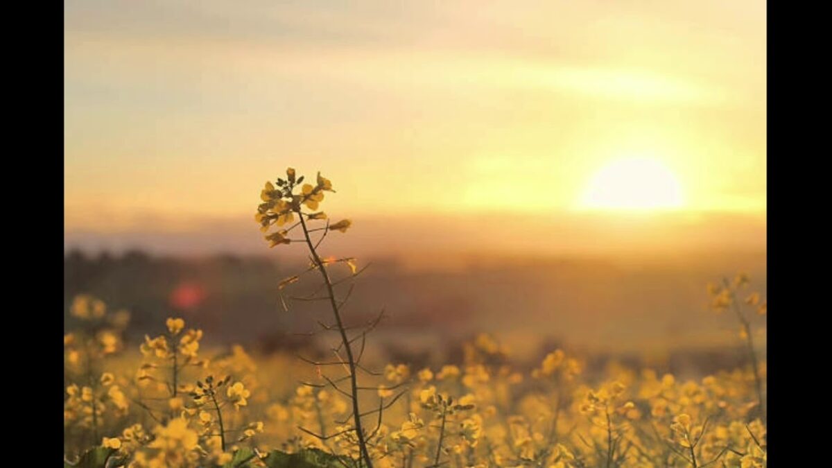 List of typographical symbols and punctuation marks visual data 3